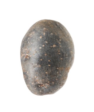 Mor bir patates, beyazda izole edilmiş.