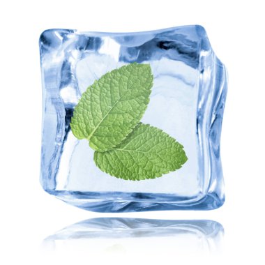 Beyaz zemin üzerinde temiz buz küpünün içindeki taze nane yaprakları
