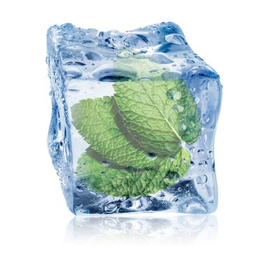 Beyaz zemin üzerinde temiz buz küpünün içindeki taze nane yaprakları