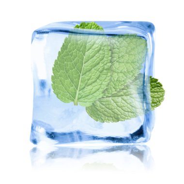 Beyaz zemin üzerinde temiz buz küpünün içindeki taze nane yaprakları
