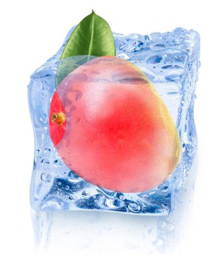 Buz küpündeki olgun mango meyvesi beyaza izole edilmiş.