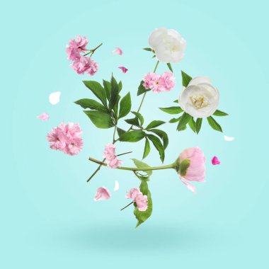 Açık mavi arka planda Aromatik bahar çiçekleri ve yaprakları