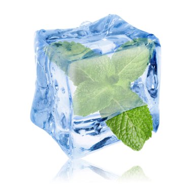 Beyaz zemin üzerinde temiz buz küpünün içindeki taze nane yaprakları