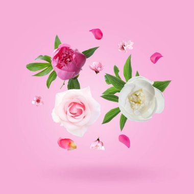 Pembe arka planda havada Aromatik çiçekler ve taç yaprakları