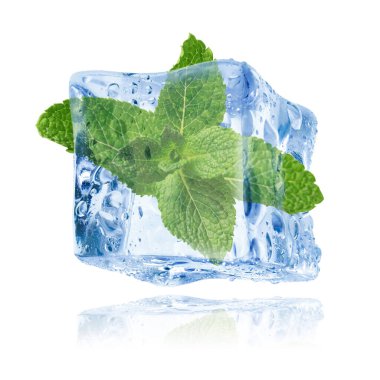 Beyaz zemin üzerinde temiz buz küpünün içindeki taze nane yaprakları