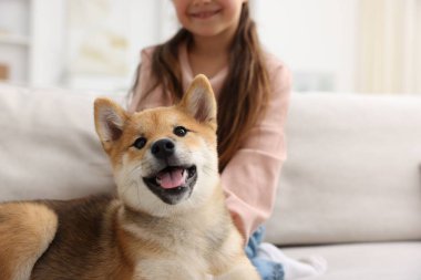 Evdeki kanepede sevimli bir köpek ve gülümseyen küçük bir kız.