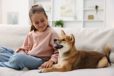 Evdeki kanepede köpeği olan sevimli küçük bir kız. Çocuk ve hayvan