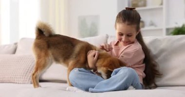 Gülümseyen küçük kız evdeki kanepede köpeğiyle oynuyor. Çocuk ve hayvan