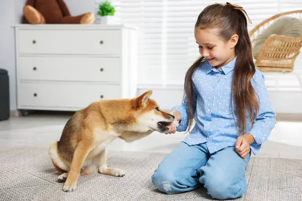 Gülümseyen küçük kız köpeğiyle evde yerde oynuyor. Çocuk ve hayvan