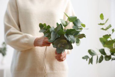 Çiçekçi, çiçekçide okaliptüs dallarından güzel bir buket yapıyor.