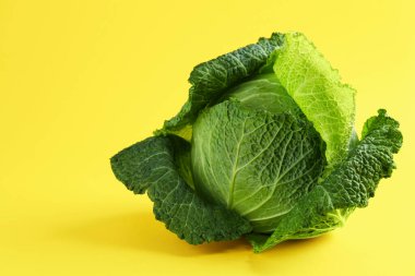 Sarı arka planda taze bir Savoy lahanası, yakın plan. Metin için boşluk