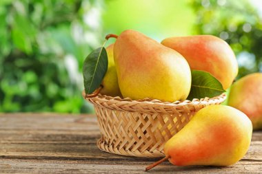 Tahta masada hasır sepetin içinde taze olgun armutlar, yakın plan. Metin için boşluk