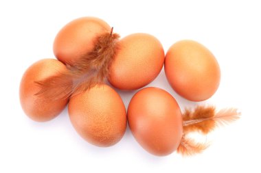 Çiğ tavuk yumurtaları ve tüyler beyaz, üst manzara