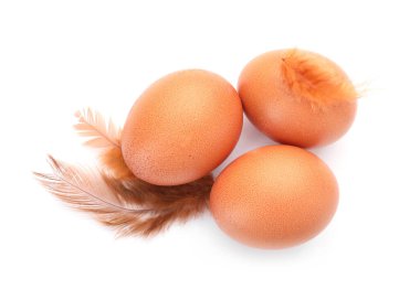 Çiğ tavuk yumurtaları ve tüyler beyaz, üst manzara