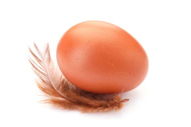 Çiğ tavuk yumurtası ve tüy beyazda izole edilmiş.