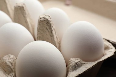 Yumurta kutusunda çiğ tavuk yumurtası, yakın plan.