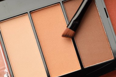 Beautiful eyeshadow palette and brush on coral background, top view