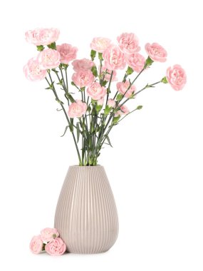 Beautiful carnation flowers in vase isolated on white