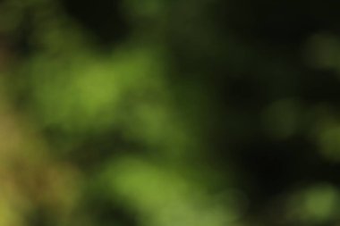 Doğal yeşil ve koyu arkaplanın bulanık görüntüsü
