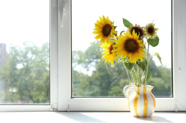 Beautiful sunflowers in jug near window indoors, space for text