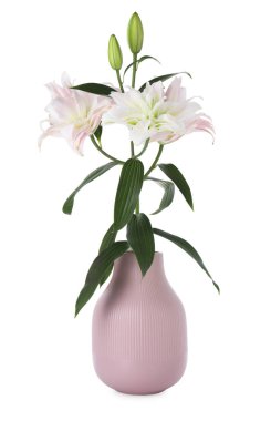 Beyaz arka planda vazoda güzel zambak çiçekleri