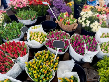 Çiçekçide çeşitli güzel çiçekler var, manzaranın üstünde.