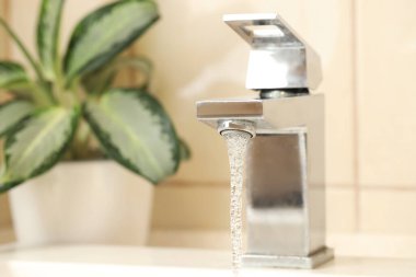 Su tasarrufu konsepti. Musluktan akan su akıntısı ve ev bitkisi kapalı, seçici odak