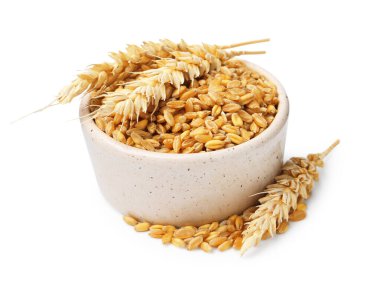 Kasedeki buğday taneleri ve beyaza izole edilmiş kuru çiviler.