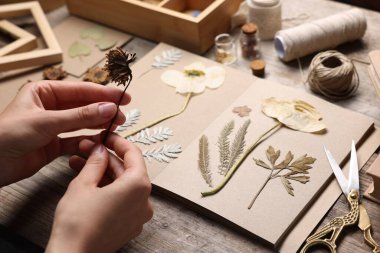 Ahşap masadaki kuru çiçekleri deftere koyan kadın, yakın plan.