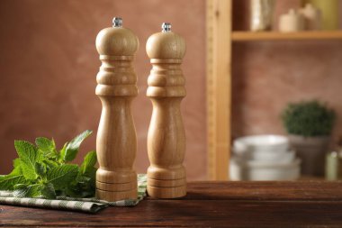 Mutfaktaki ahşap masada tuz, biber değirmeni, nane ve peçete, yakın plan. Metin için boşluk