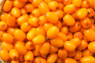 Arka plan olarak taze deniz dikenli böğürtlen, üst manzara