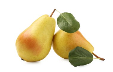 Two ripe yellow pears with green leaves isolated on white