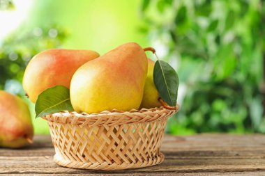 Tahta masada hasır sepetin içinde taze olgun armutlar, yakın plan. Metin için boşluk