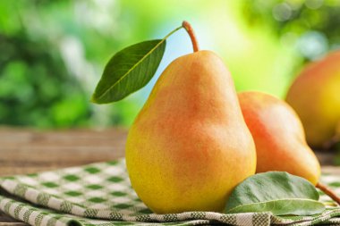 Açık havada taze olgun armutlar, yakın plan.