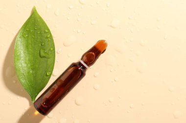 Kozmetik ürünlü cam ampul, bej arka planda yaprak ve su damlaları, düz zemin. Metin için boşluk