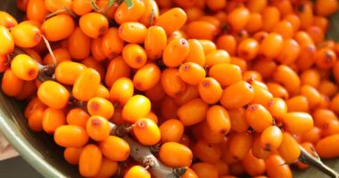 Olgun deniz dikenli üzümleri kasede, yakın plan