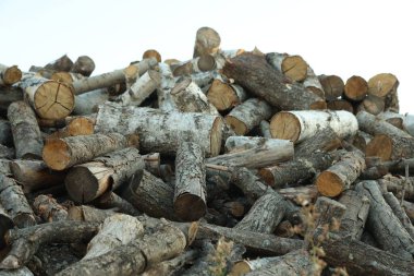 Kesilmiş odun yığınları, yakın çekim manzarası.