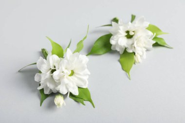 Açık arkaplanda güzel çiçekli yaka çiçekleri, yakın plan