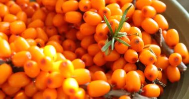 Olgun deniz dikenli meyveler kasede yeşil yapraklar, yakın çekim