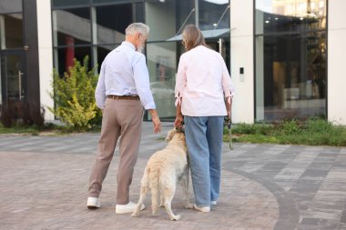 Kıdemli çift Golden Retriever köpeğiyle dışarı çıkıyor.