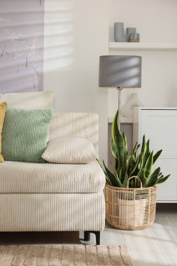 Lambalı, çiçekli ve kanepeli şık bir oturma odası. İç tasarım