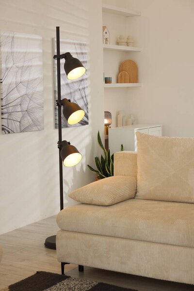 Stylish living room with lamp, houseplant and sofa. Interior design