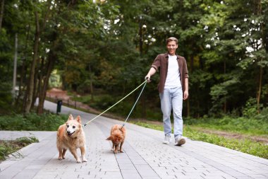 Genç adam sevimli köpeklerini gezdiriyor, seçici odaklanıyor.