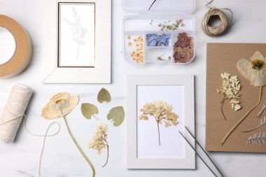 Kuru çiçekli düz kompozisyon ve beyaz mermer masa üzerinde resim çerçeveleri