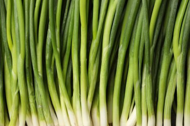 Arka plan olarak taze yeşil soğan, üst görünüm