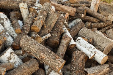 Kesilmiş odun yığınları, yakın çekim manzarası.