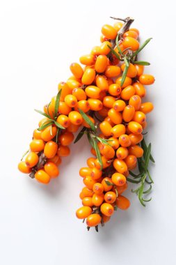 Olgun deniz dikenli üzümlü dallar ve beyaz arka planda yapraklar.