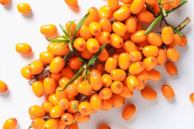 Olgun deniz dikenli üzümlü dallar ve beyaz arka planda yapraklar, düz uzanmış