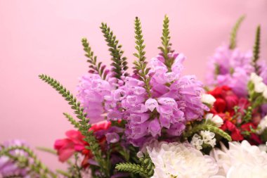 Pembe arka planda bir sürü güzel çiçek, yakın plan