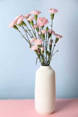 Güzel karanfil çiçekleri pembe masada, açık mavi arka planda.